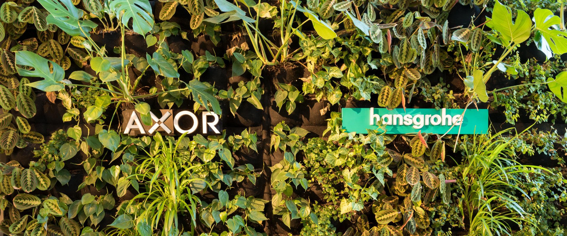 plantenmuur in The Water Studio Amsterdam